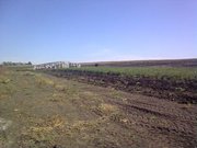 Фермерское хозяйство,  цветы,  парники,  теплицы,  поля возле Донецка