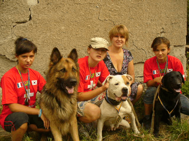 Дрессировка собак в Донецке и Макеевке